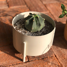 Cargar imagen en el visor de la galería, Maceta HUESO
