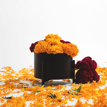 Cargar imagen en el visor de la galería, Maceta HUESO