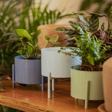 Cargar imagen en el visor de la galería, Maceta HUESO